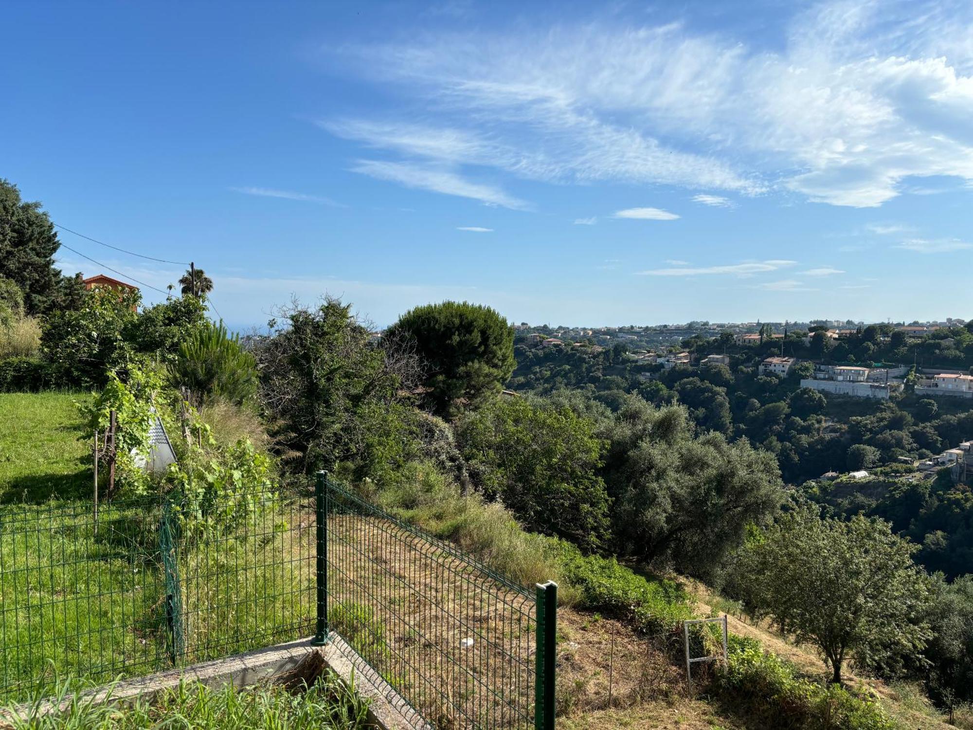 Flora * Nizza